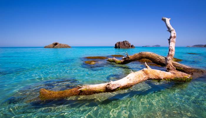 picture of the beach at Aigua Blanques