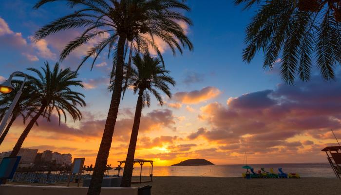 picture of Magaluf beach