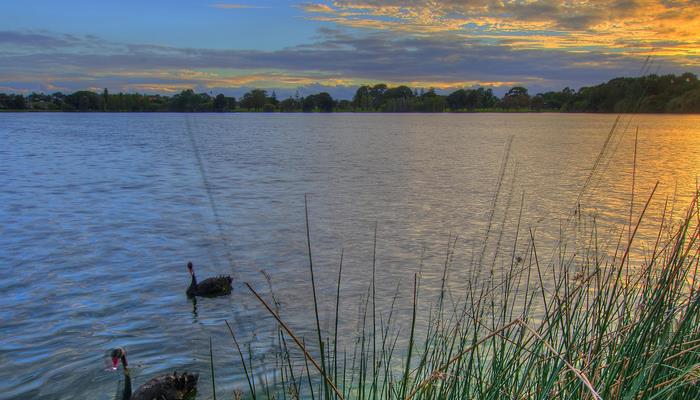 picture of lake monger