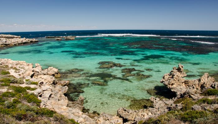 picture of rottnest in Perth