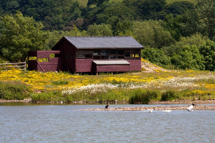 Conwy Nature Reserve